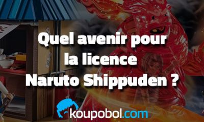 Playmobil : Quel avenir pour la gamme Naruto Shippuden ?