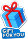 Playmobil Gift for You / Cadeau pour toi