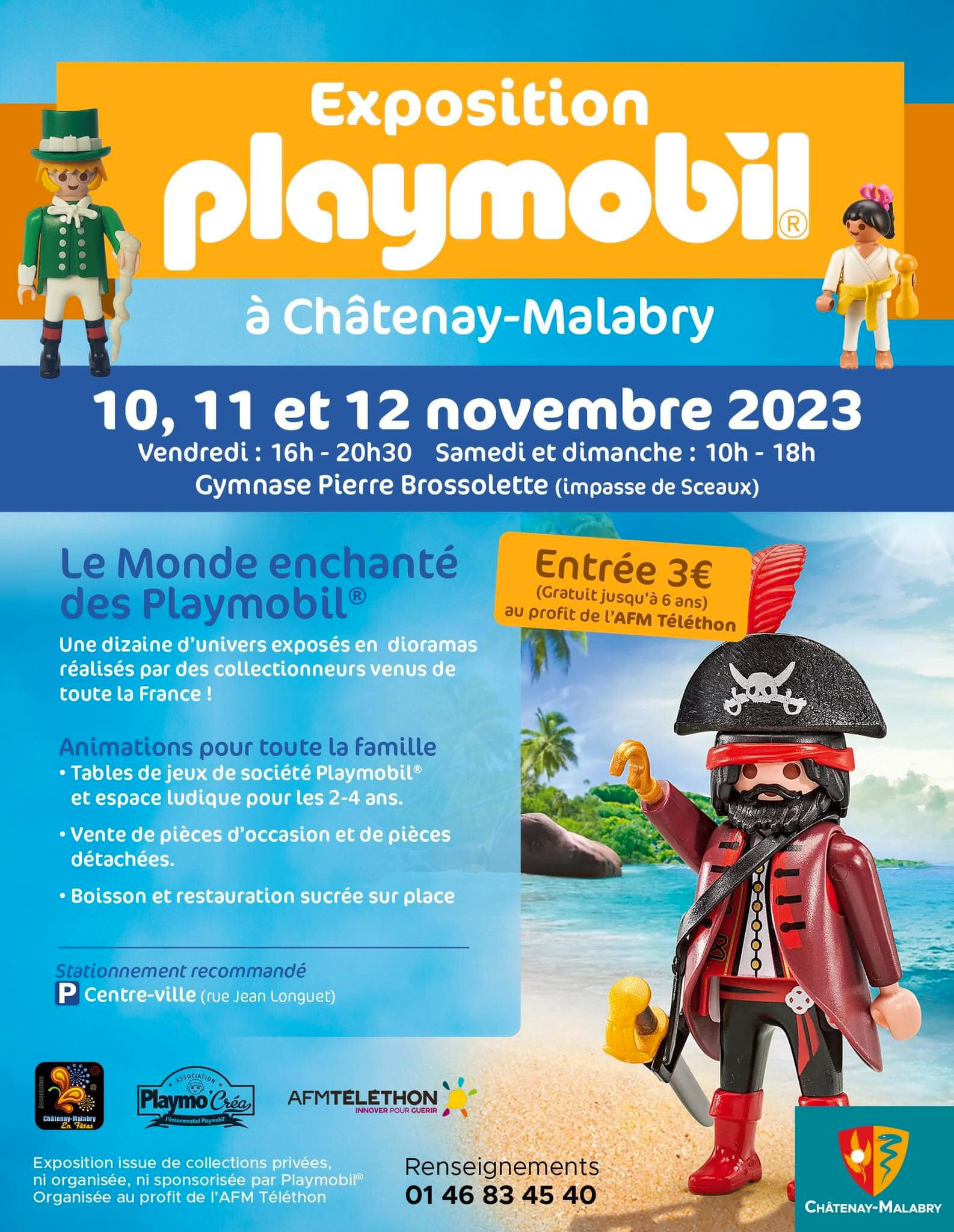 Marne : les Playmobil, une passion aussi pour les adultes, comme le prouve  l'exposition au Capitole de Châlons-en-Champagne