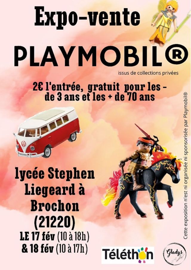Exposition Playmobil Exposition - Vente Playmobil à Brochon (21220)