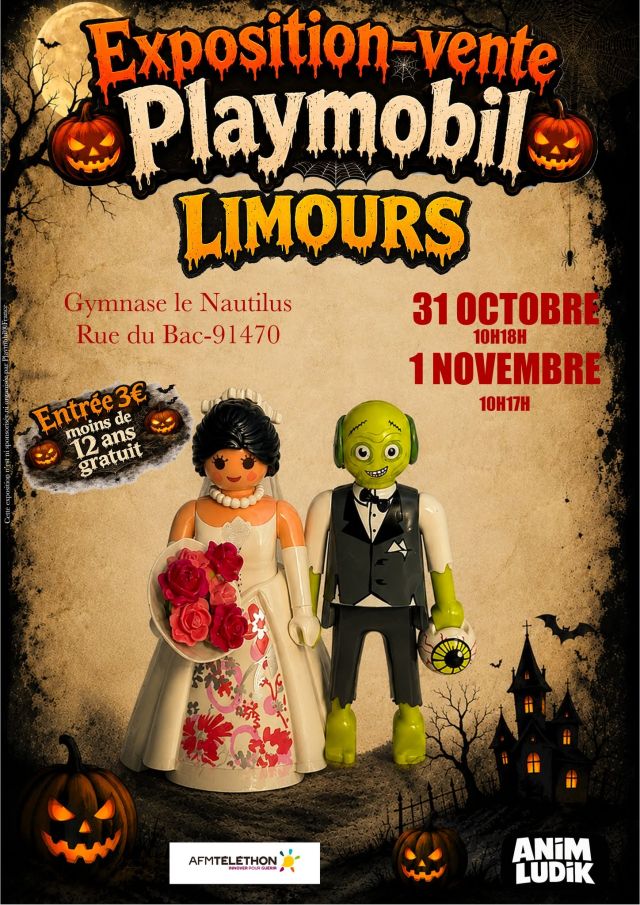 Exposition Playmobil Exposition - Vente Playmobil à Limours 2026 à Limours (91470)